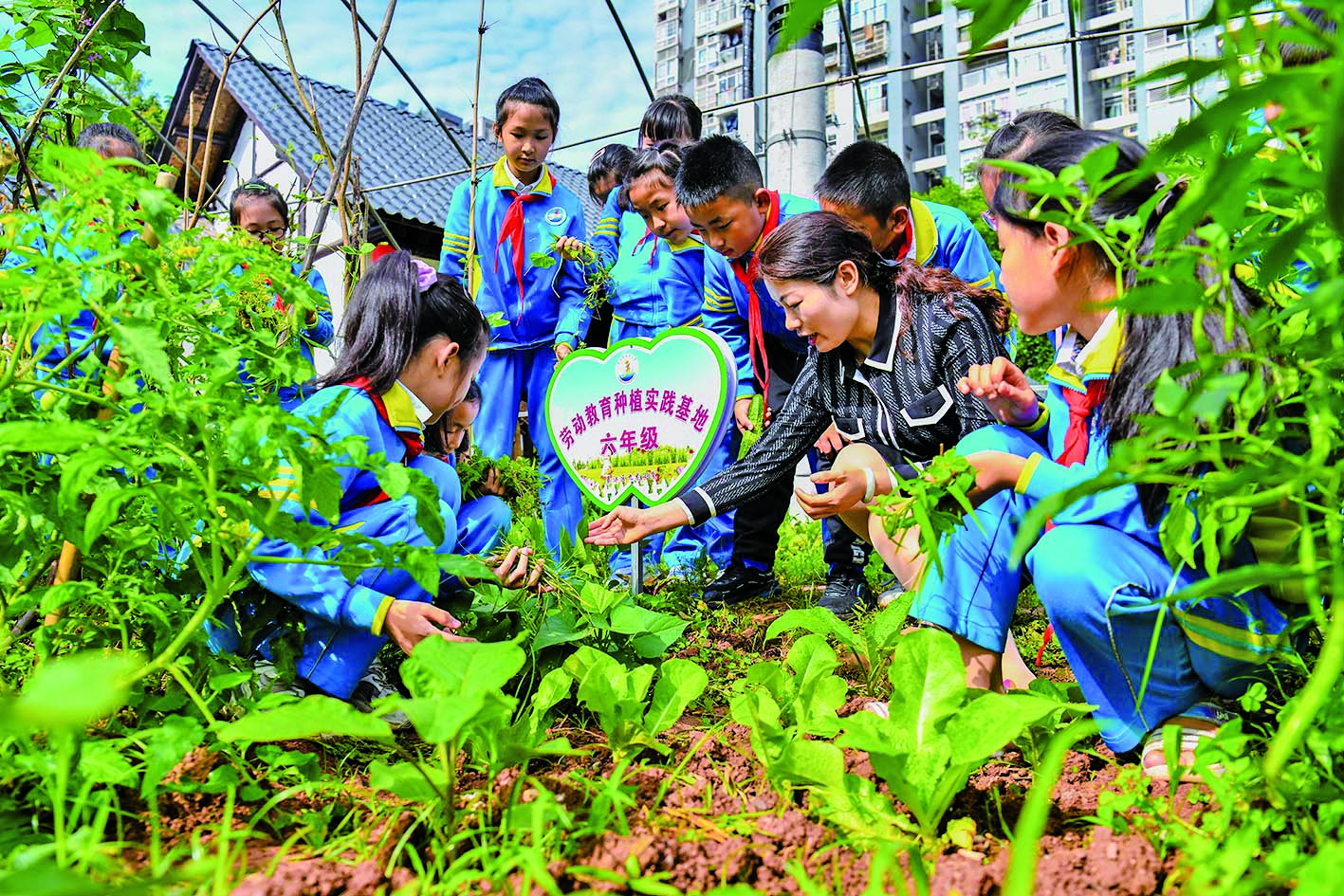 熊猫体育app：农林专家手把手教学生种植学问红围巾慈善科普园初度开课