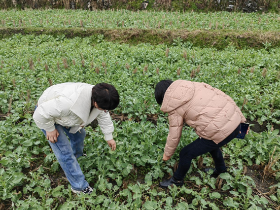 熊猫体育app：科普研学兴味众