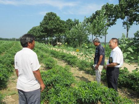 熊猫体育：“天”上来“课”办理地上困难省级高级农艺师正在线教你“种菜”(图2)