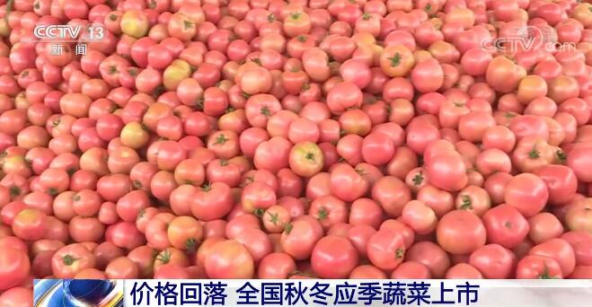 熊猫体育app下载：保供稳价好手动 代价回落 天下秋冬应季蔬菜上市(图2)