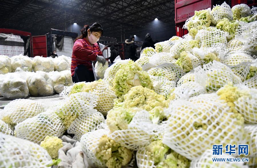 蔬菜产地供应富足 菜价正在合理区间——来自蔬菜坐蓐大省山东的一线观察申报-新华网(图2)