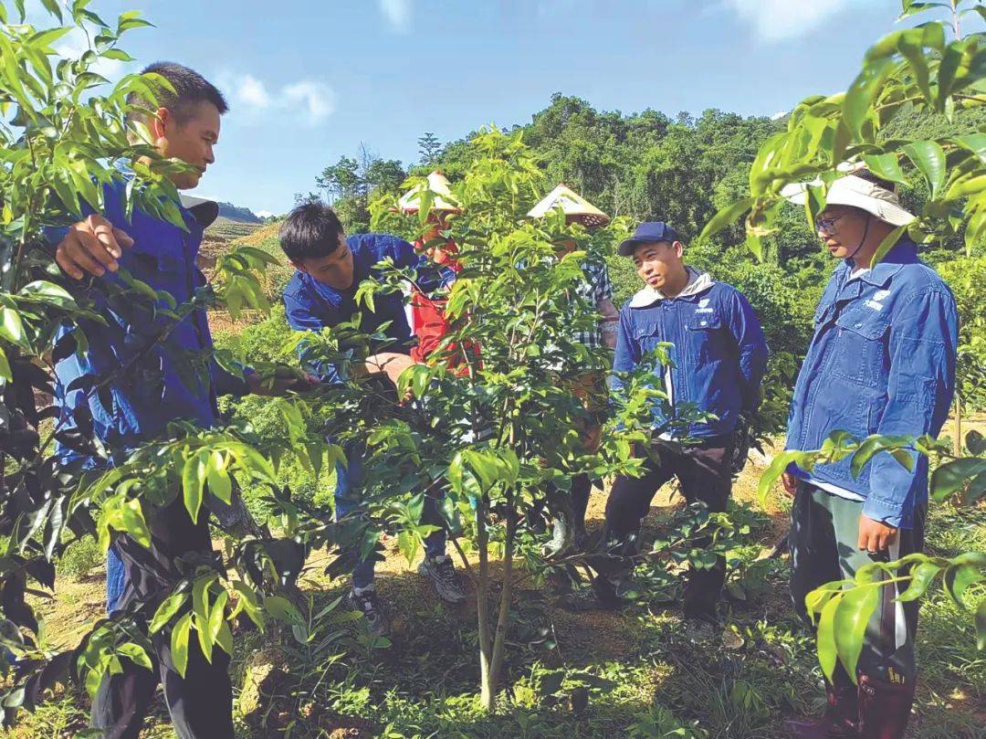 重香能否飞入寻常匹夫家？(图2)