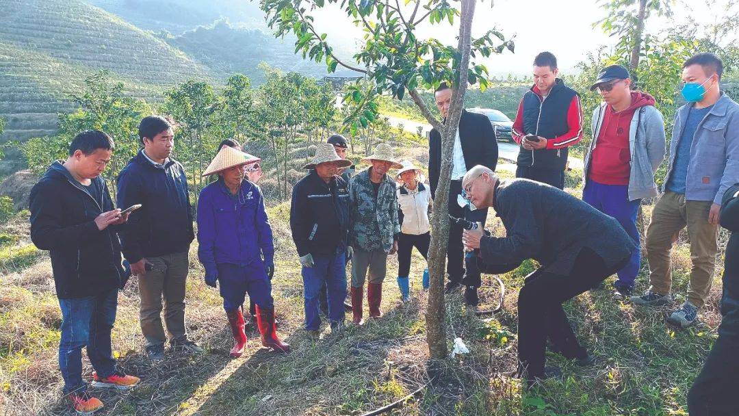 重香能否飞入寻常匹夫家？(图3)