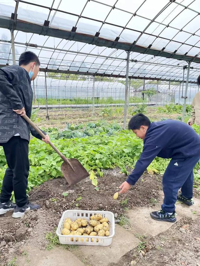 真稀奇！竟然有“肉香味”的蔬菜(图4)