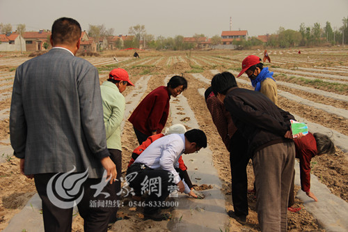 熊猫体育app下载：东营：利津镇种植束缚学问“实时雨”下到田间地头(图1)