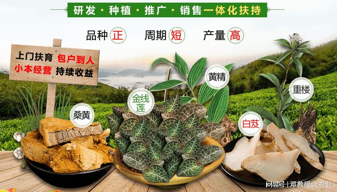 熊猫体育app：种植一亩地能赚众少钱？看完你就理会了(图5)