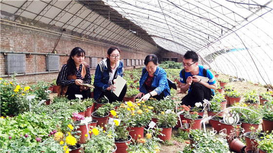 蔬菜栽培根基学问