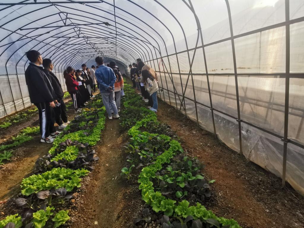 农业学问大全种植工夫