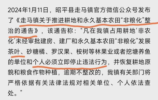 熊猫体育官网：广西镇政府阻碍庄家种植茶树网民全体力挺事态激励合切!(图6)