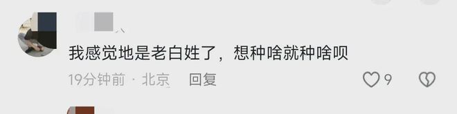 熊猫体育官网：广西镇政府阻碍庄家种植茶树网民全体力挺事态激励合切!(图4)