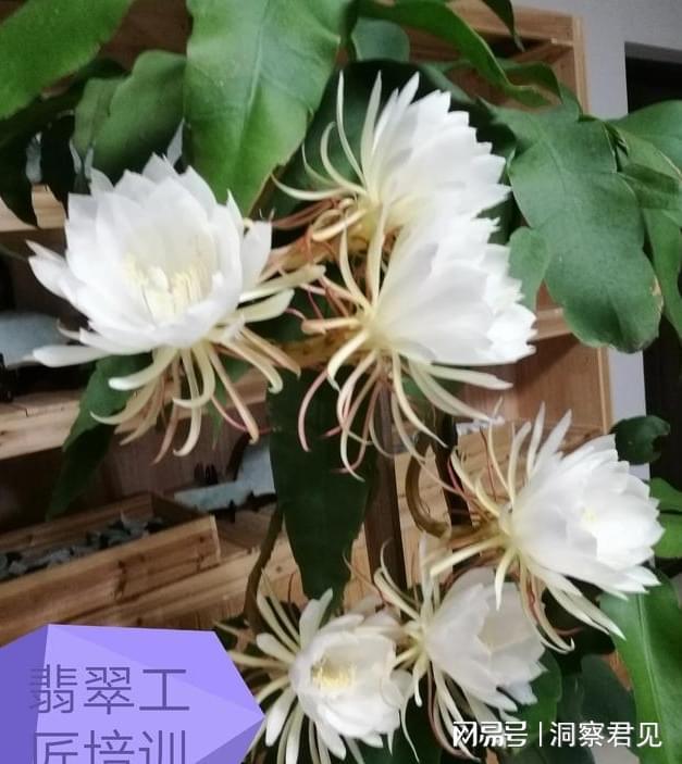 聊聊种植业：种地的近况(图3)