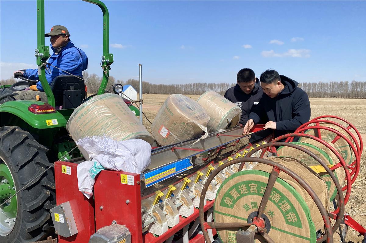 通辽市库伦旗：农技供职下田间 春耕备耕正当时(图3)