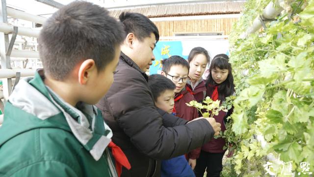 园艺栽培小常识